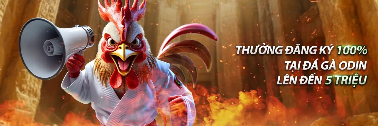 Khuyến mãi và ưu đãi độc quyền tại vn123 club